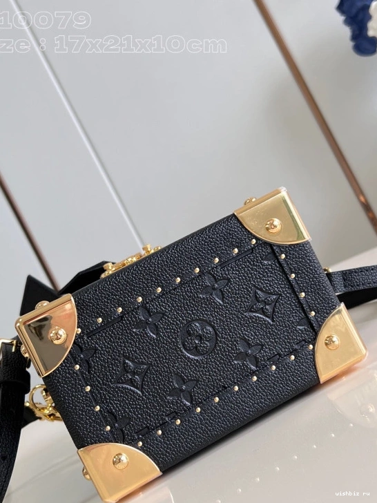 WIS VUITTON Monogram Canvas Box Camera LOUIS 0303